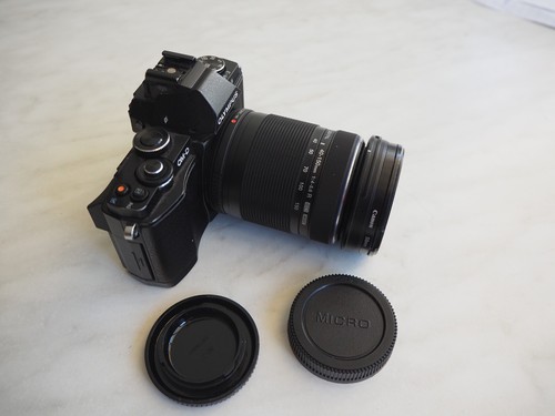 OLYMPUS OM-D-EM5 - Foto 20 di 20