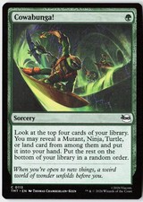 Magic - Cowabunga! Teenage Mutant Ninja Turtles [TMT - 113] NM Common