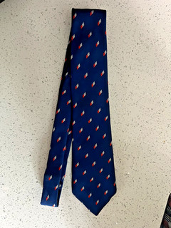 Rare Vintage Railway Tie British Rail (Network SouthEast) Blue Polyester