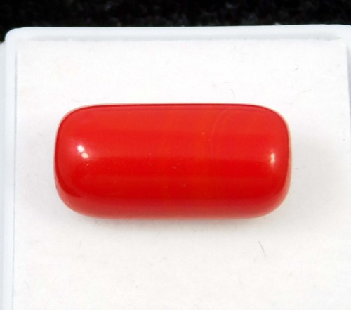 7.70 Cts Natural Italine Red Coral Cabochon Oval Cut 173.x7.7 Mm Loose Gemstone - Picture 4 of 6