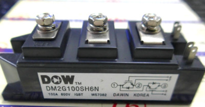 NEW DAWIN DM2G100SH6N IGBT Module