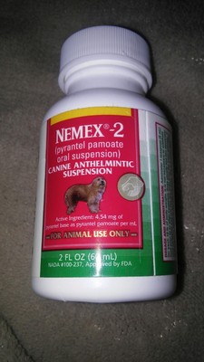 nemex 2 near me