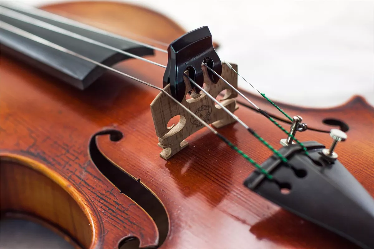 Violin mute price deals