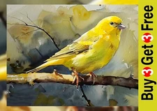 Yellow Perched Canary 5"x7 Print on Matte Paper | Tranquil Watercolor Painting