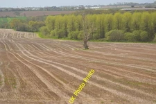 Photo 6x4 Woodland north of Fishpond Plantation Grampound Road  c2016