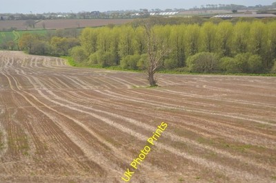 Foto 6x4 Wald nördlich von Fischteichplantage Grampound Road c2016