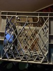 Vintage Foremost Foods Plastic Milk Crate - August 1980 Date Stamped Gray — photo 3