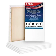 6 Pack of US Art Supply 10" x 20" Acrylic Primed Cotton Duck Stretched Canvas