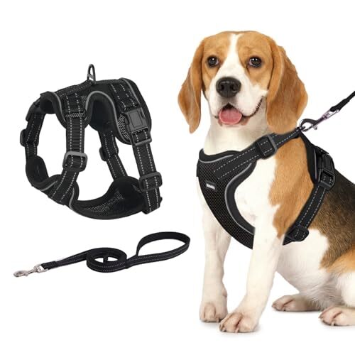 Dog Harness, Easy to Put on with 3 Buckles, No Pull Dog Vest, S Black