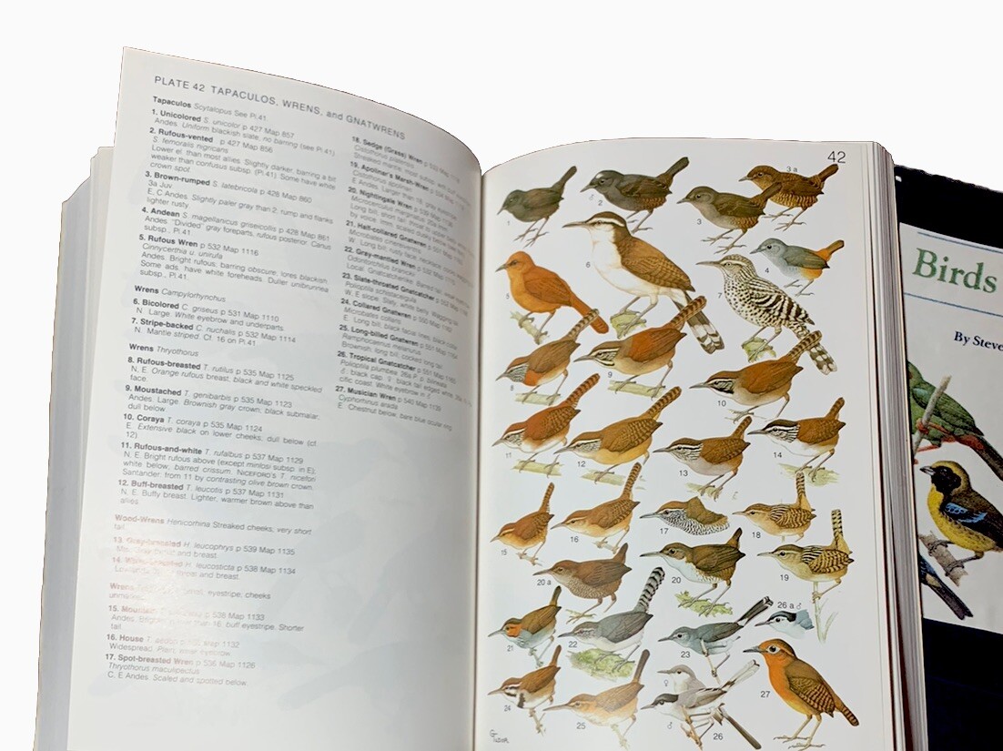 Birds In Colombia コロンビアの鳥の写真集 ＜洋書＞ Birds In Colombia コロンビアの鳥の写真集 ＜洋書＞ Birds In