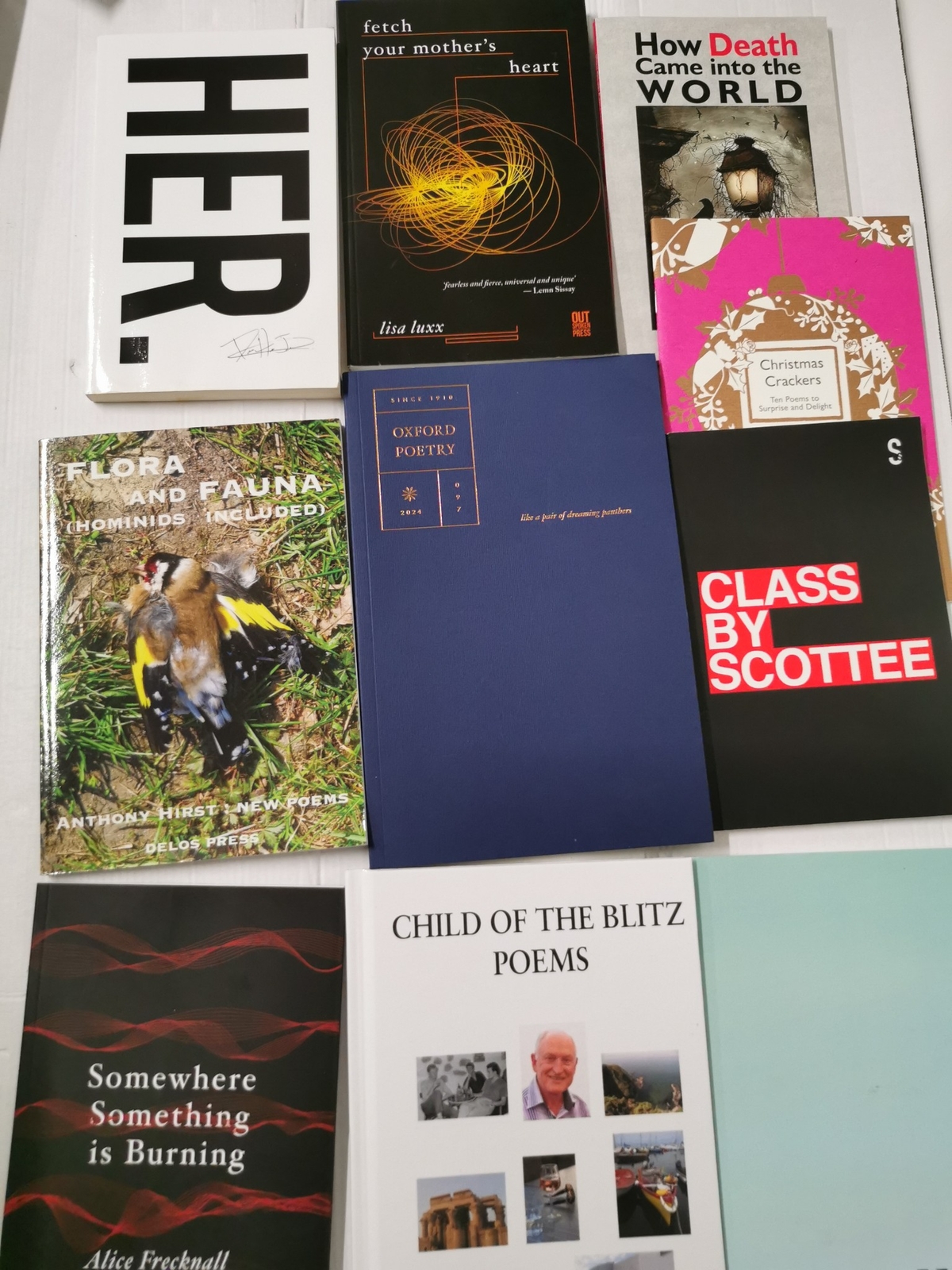 10 Poetry Book Bundle - Poetry, Journals,