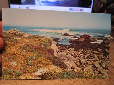 D3 CALIFORNIA Old Postcard Pacific Ocean Coast Shoreline San Diego Rocky Surfs