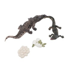 Animal Growth Life Cycle Model Set Early Education PVC Cognition Reptile Animal