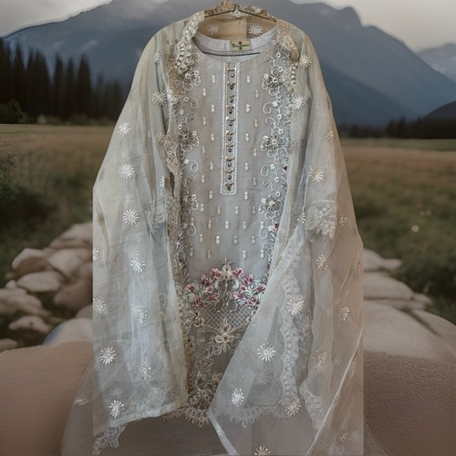 pakistani shalwar kameez stitched Chiffon Party Beautiful Elegant 3 Pcs Organza