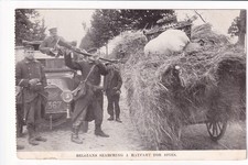 WW1 Belgium Troops Searching a Haycart for Spies
