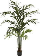 Lifelike 6Ft Kentia Palm Tree - Perfect for Home or Office Decor