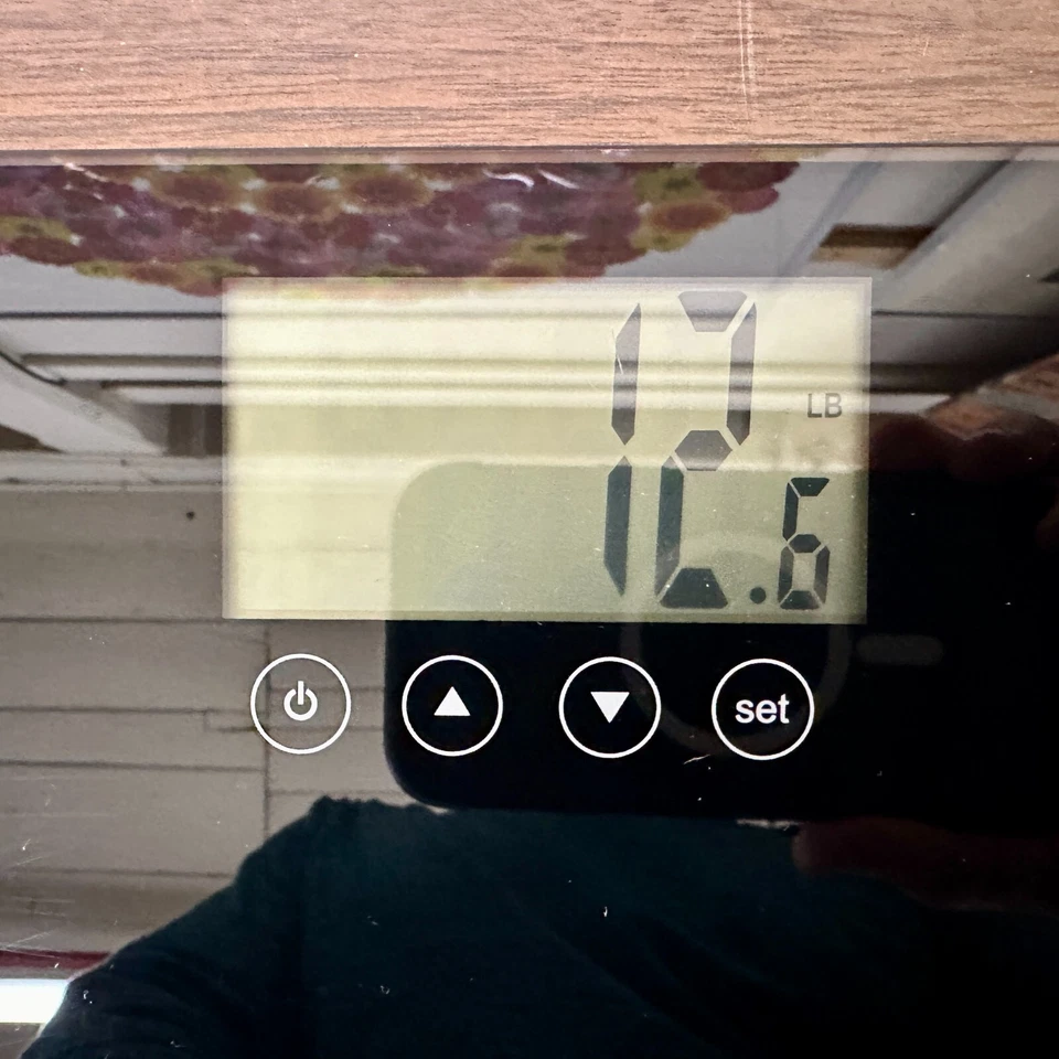 Báscula digital de grasa corporal de vidrio Homedics ~ Modelo SC-547 ~ Negra ~ Plataforma Foto 2 de 4