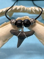 SHARK TOOTH NECKLACE ( FOSSILIZED ) ..1 Inch LEMON Shark Tooth From Venice Fl 