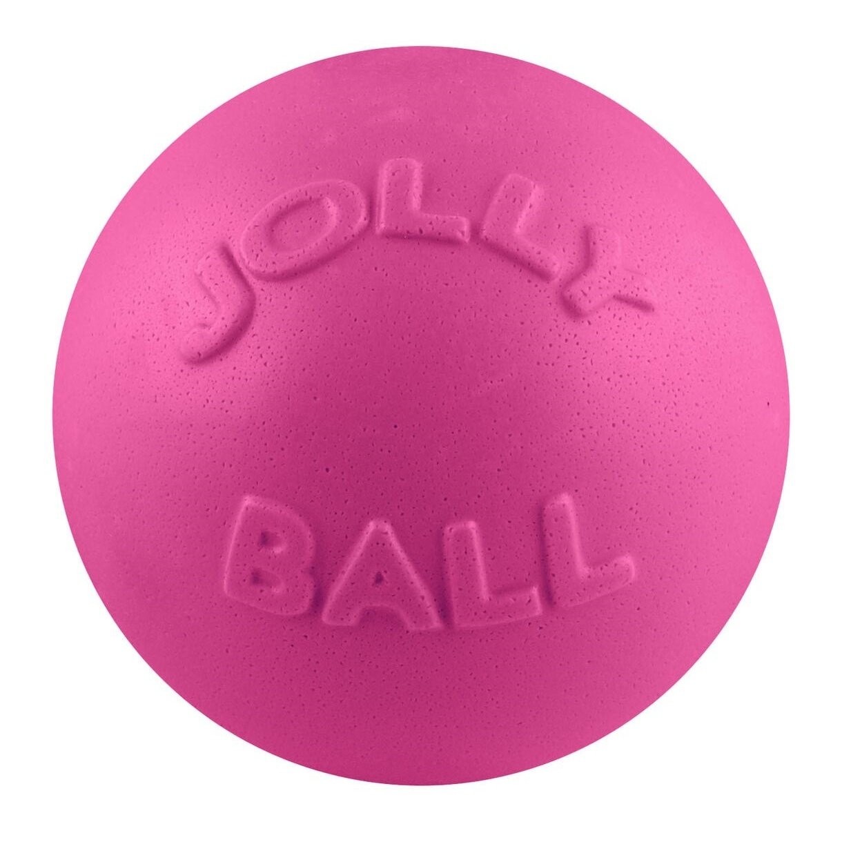 Jolly Pets Bounce-n-Play Dog Toy Ball, 8 Inches/Large, Blueberry