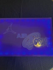 Custom AJ Retro Space Jam Concord Acrylic Shoe Box
