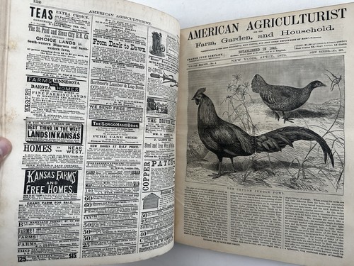 American Agriculturist 1879 bound vol. 12 issues wood engravings toy catalogue - Imagen 22 de 22