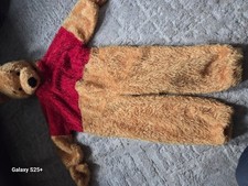 Disney Winnie The Pooh Childrens X Small Costume
