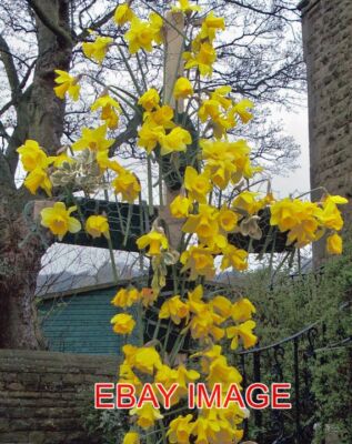 FOTO OSTERN DAFFS EIN SAISONALES BILD AUSSERHALB DER KIRCHE AM HOLYMOORSIDE IN