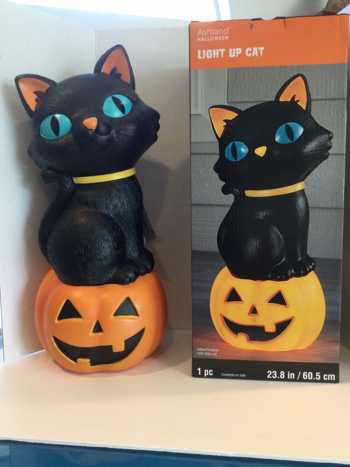 Ashland Smiling Jack O Lantern Black Cat Blue Eyes Halloween Light Up