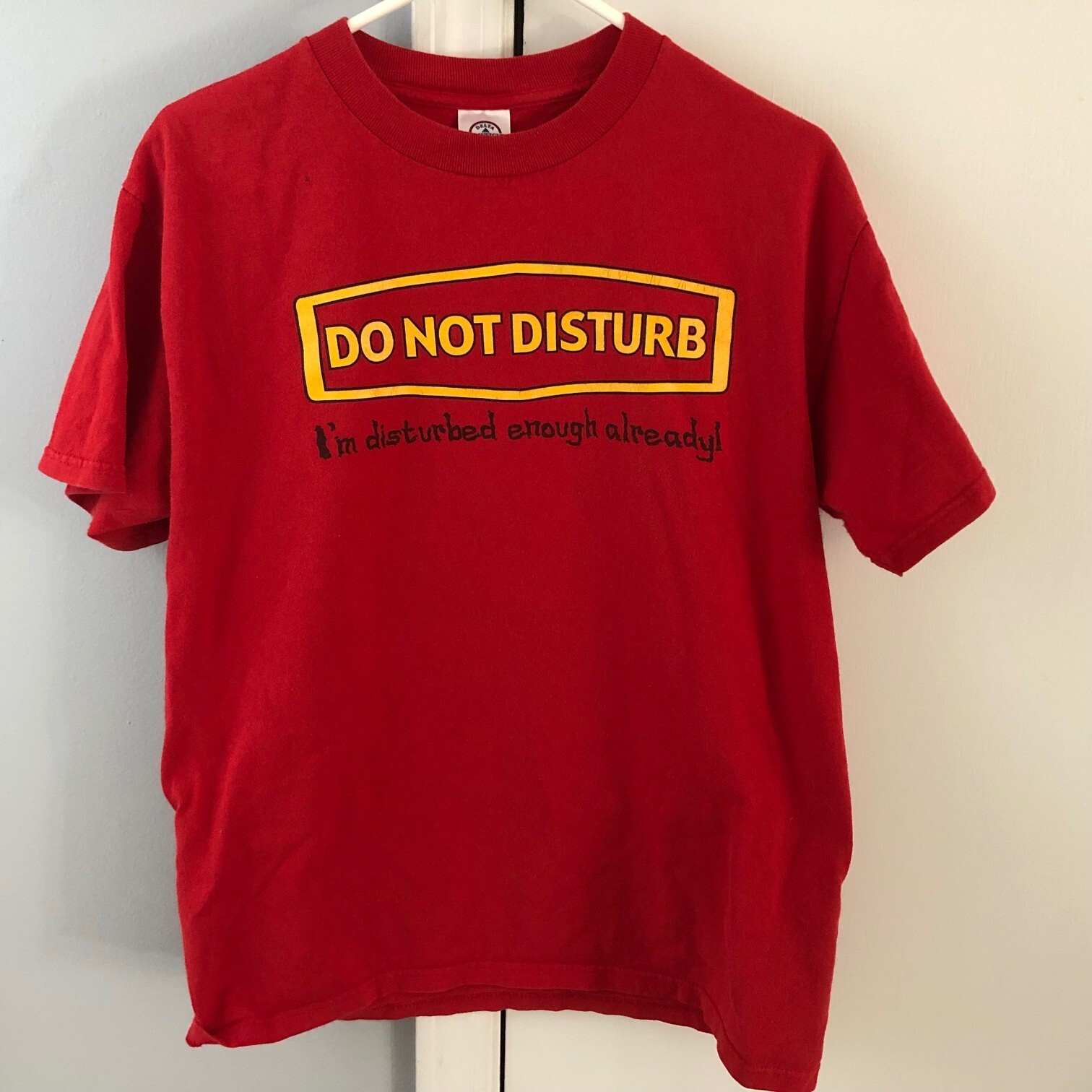 Do Not Disturb While I'm Watching The Walking Dead T Shirt - 90sclothes