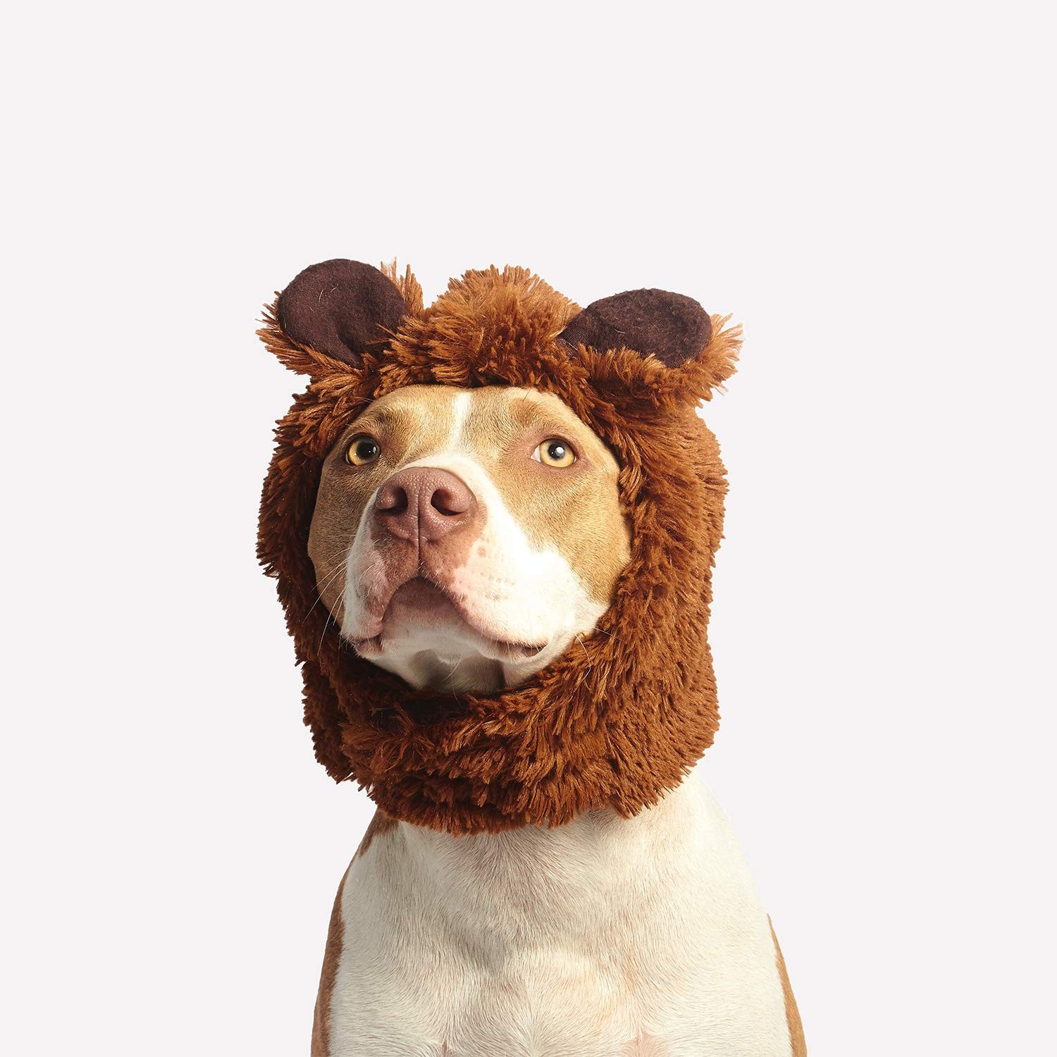 Julius Studio 10 x 13 ft. White Chromakey Photo Video Studio Fabric Backdrop,...