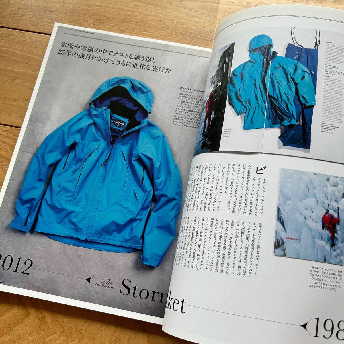 Mono Max Special Issue Patagonia Perfect Book Japanese