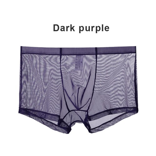 Herren Sexy Netz Bikini Slip Nachtwäsche Durchsichtig Ausbuchtung Boxer Unterwäsche Shorts - Bild 7 von 20