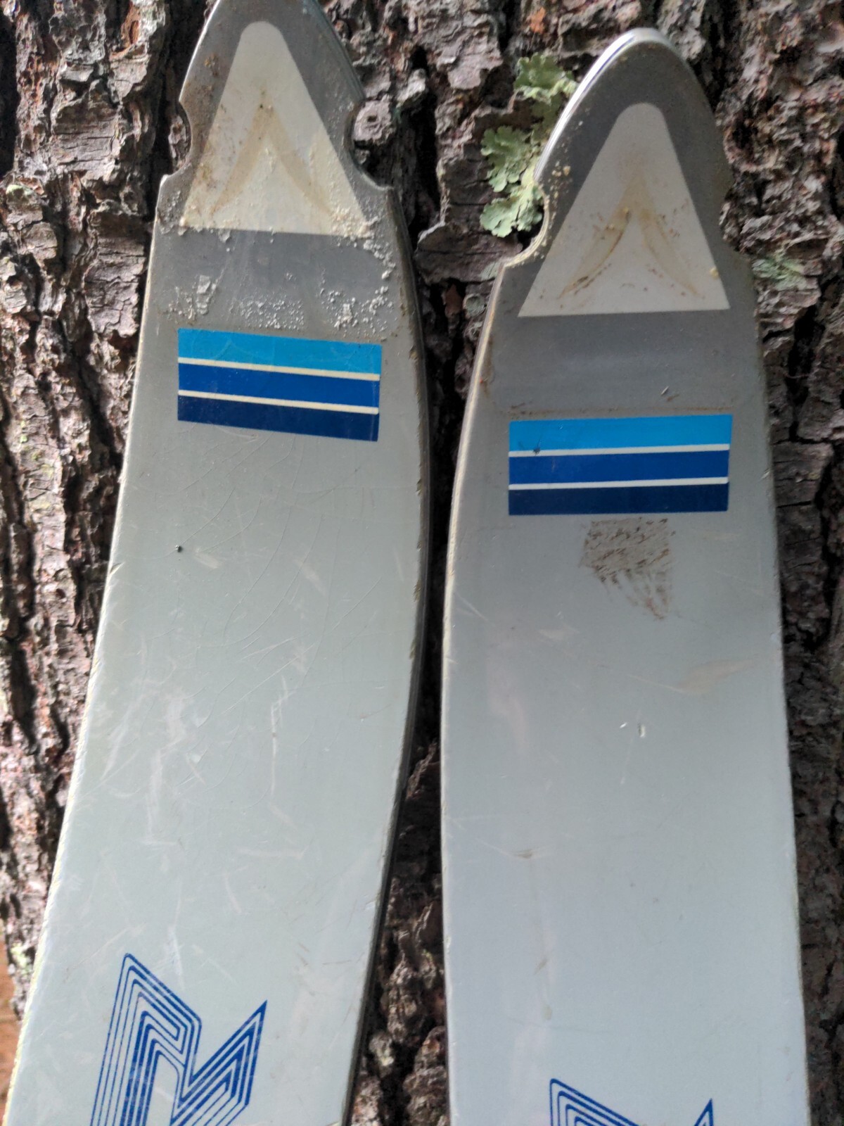 Dynastar Omega Skis W/ LOOK 57 Bindings RARE VTG 70 inches (177.8 cm