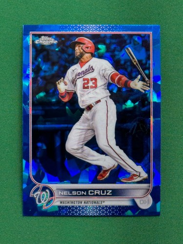 2022 Nelson Cruz #US194