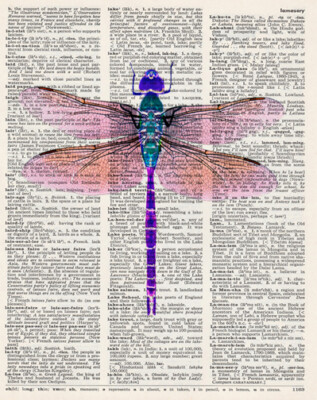 DRAGONFLY * VINTAGE DICTIONARY PAPER ART PRINT | eBay Australia