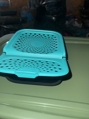 Tupperware Onion & Garlic Smart Container