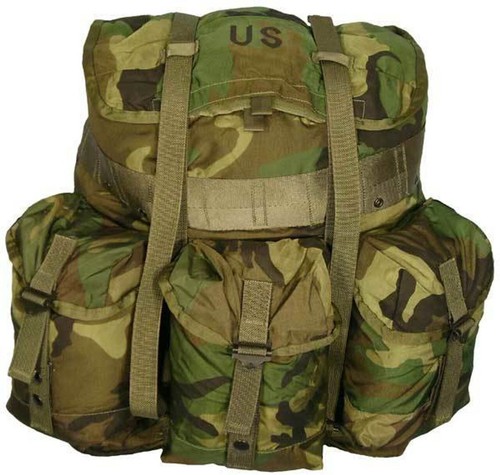 U.S. Armed Forces Medium Alice Pack Used No Frame - Woodland