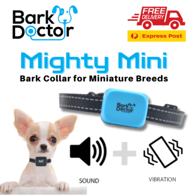 Bark Doctor Mighty Mini Vibrating Bark Collar XS Dogs Toy Poodle Mini  Daschunds | eBay