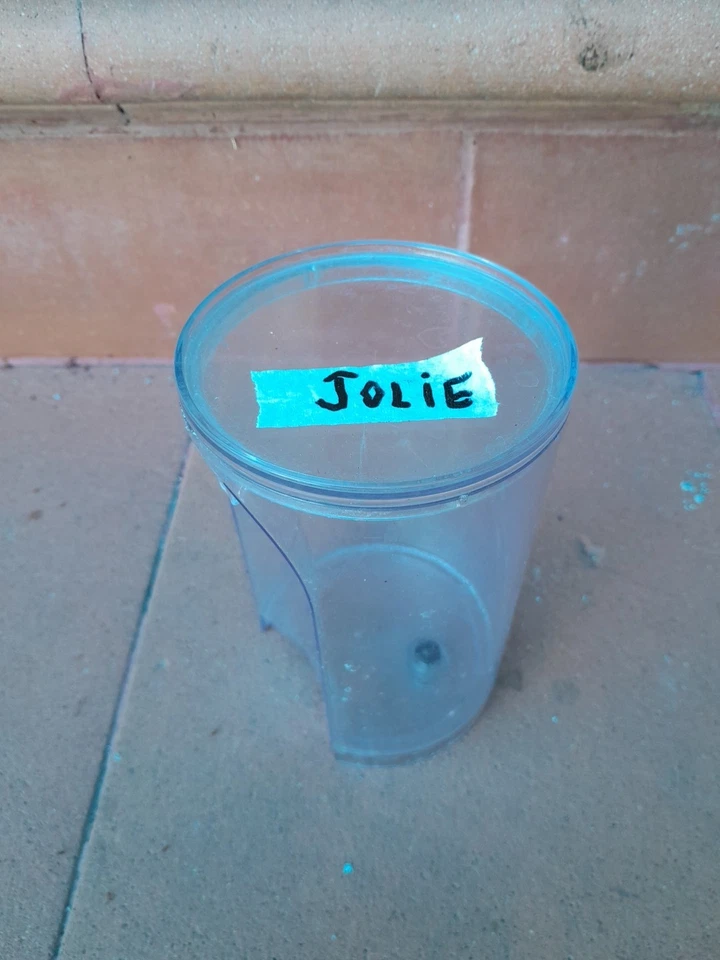 Ricambi macchine da caffè Lavazza a Modo Mio . - Immagine 3 di 3