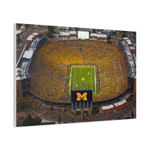 Arte de pared del estadio deportivo de la Universidad de Michigan, decoración del día del juego, - Imagen 13 de 17