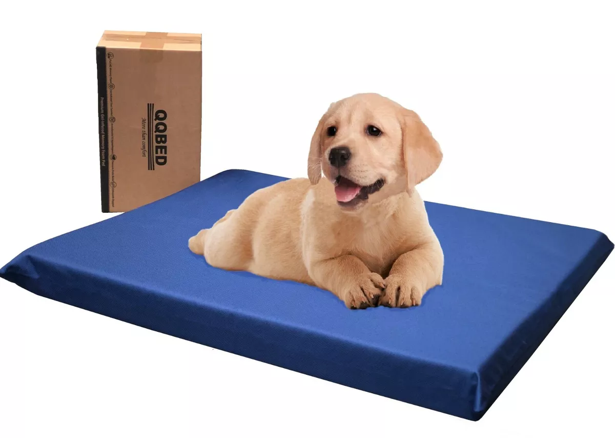 Cama para perro grande