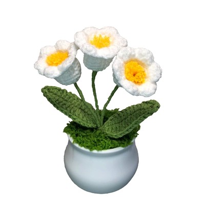 Crochet Flowers Cute Little Potted Flower Gift for Birthday Teacher s Day Gra...