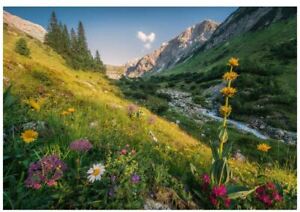 Ravensburger 1000 piece jigsaw puzzle MAGICAL VALLEY flowers stream mountain