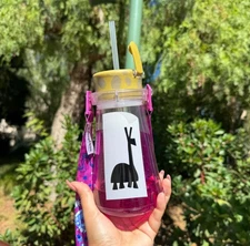 2025 Disneyland Magic Key Kuzco’s Poison Bottle Sipper bottle SOLD OUT