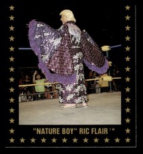 1991 Championship Marketing WCW #35 Nature Boy Ric Flair
