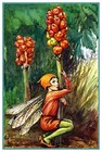 Lord and Lady Garden Fairy By Cicely Mary Barker Counted Cross Stitch Pattern