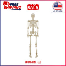 5ft Poseable LED Illuminated Skeleton Halloween Decor Way to Celebrate