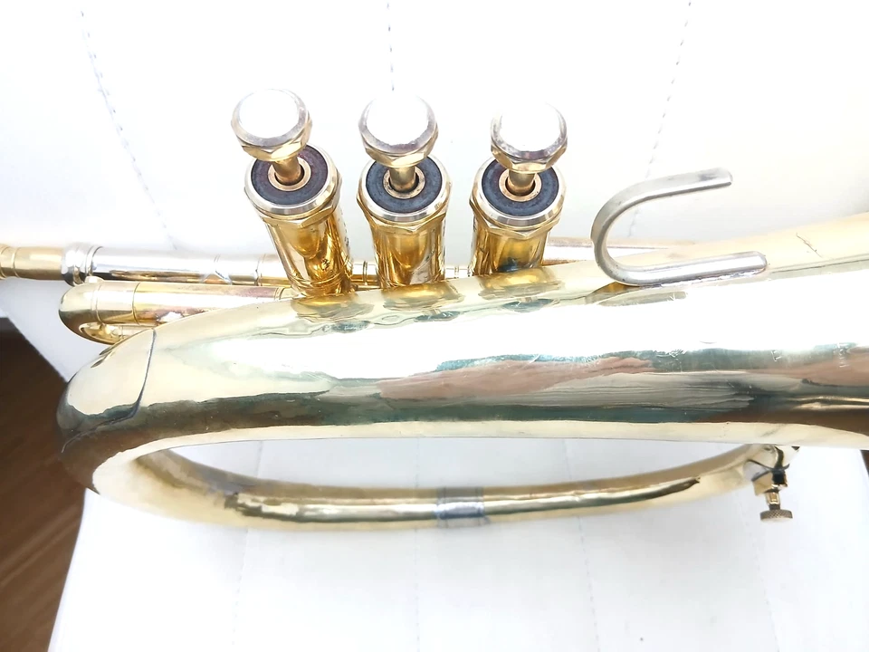 RAR !!!! Kuhlohorn mit Pumpventilen - Bild 3 von 4