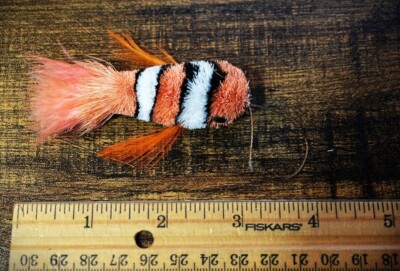 1 XL Size Durable Clown Fish Cat Toy Fits Da Bird & Other Popular Wands