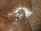 HIGH GRADE MINT ERROR 1949-P  LINCOLN WHEAT CENT DDO#1   VF